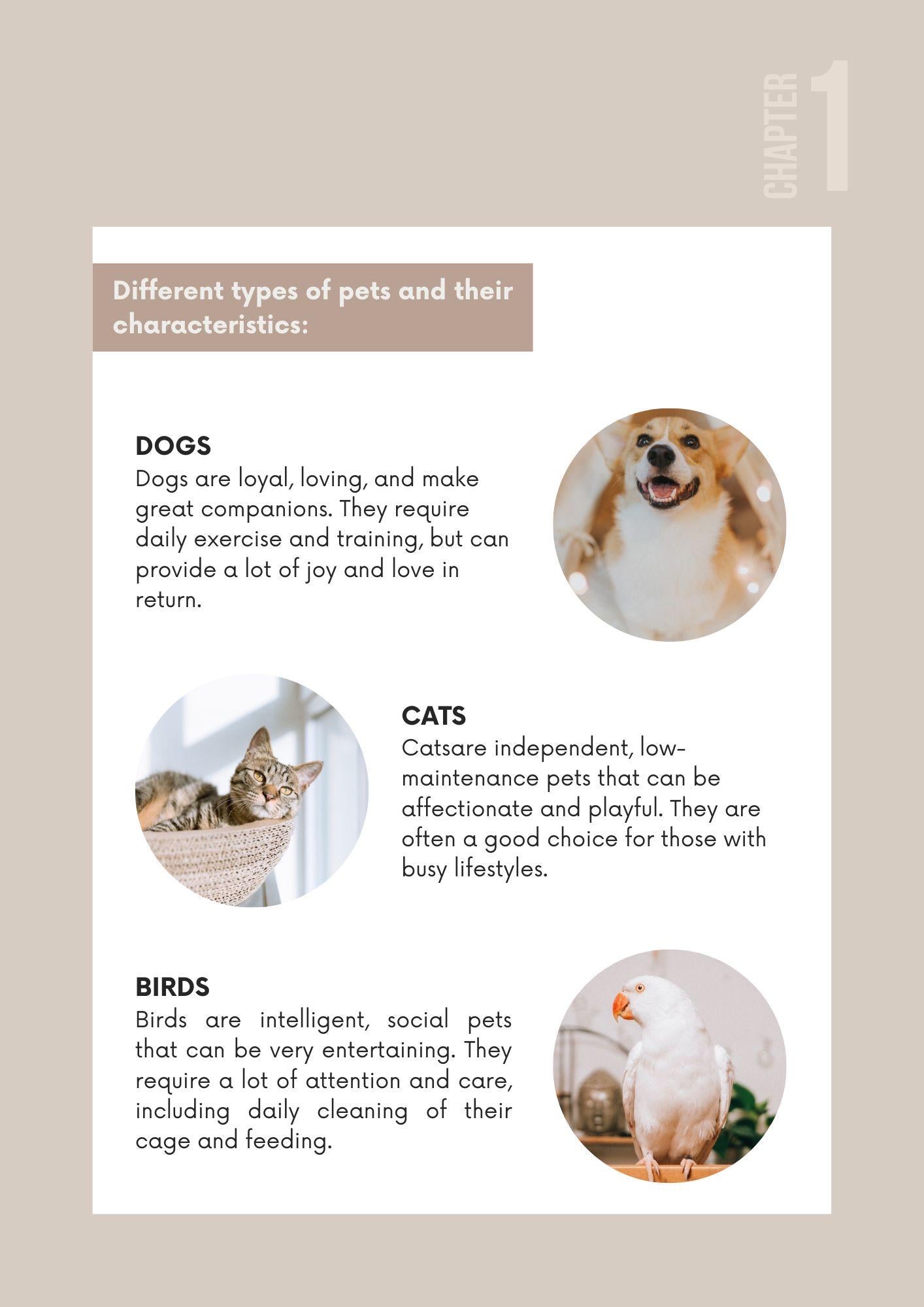 The Ultimate Guide to Pet Care | Comprehensive Handbook for Happy, Healthy Pets - Instant Download