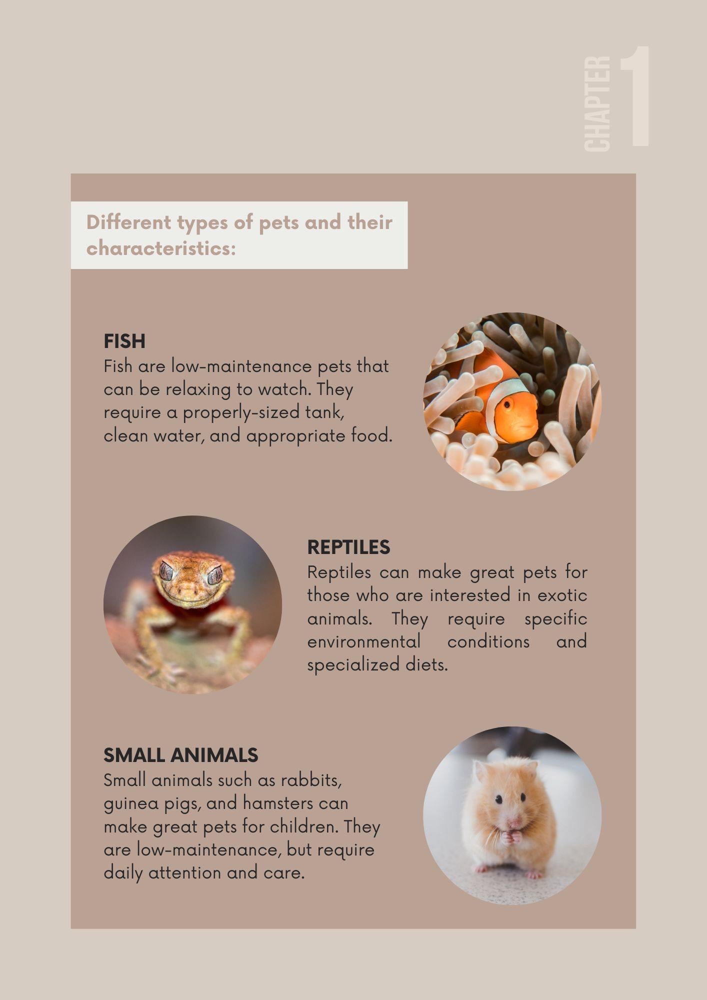 The Ultimate Guide to Pet Care | Comprehensive Handbook for Happy, Healthy Pets - Instant Download