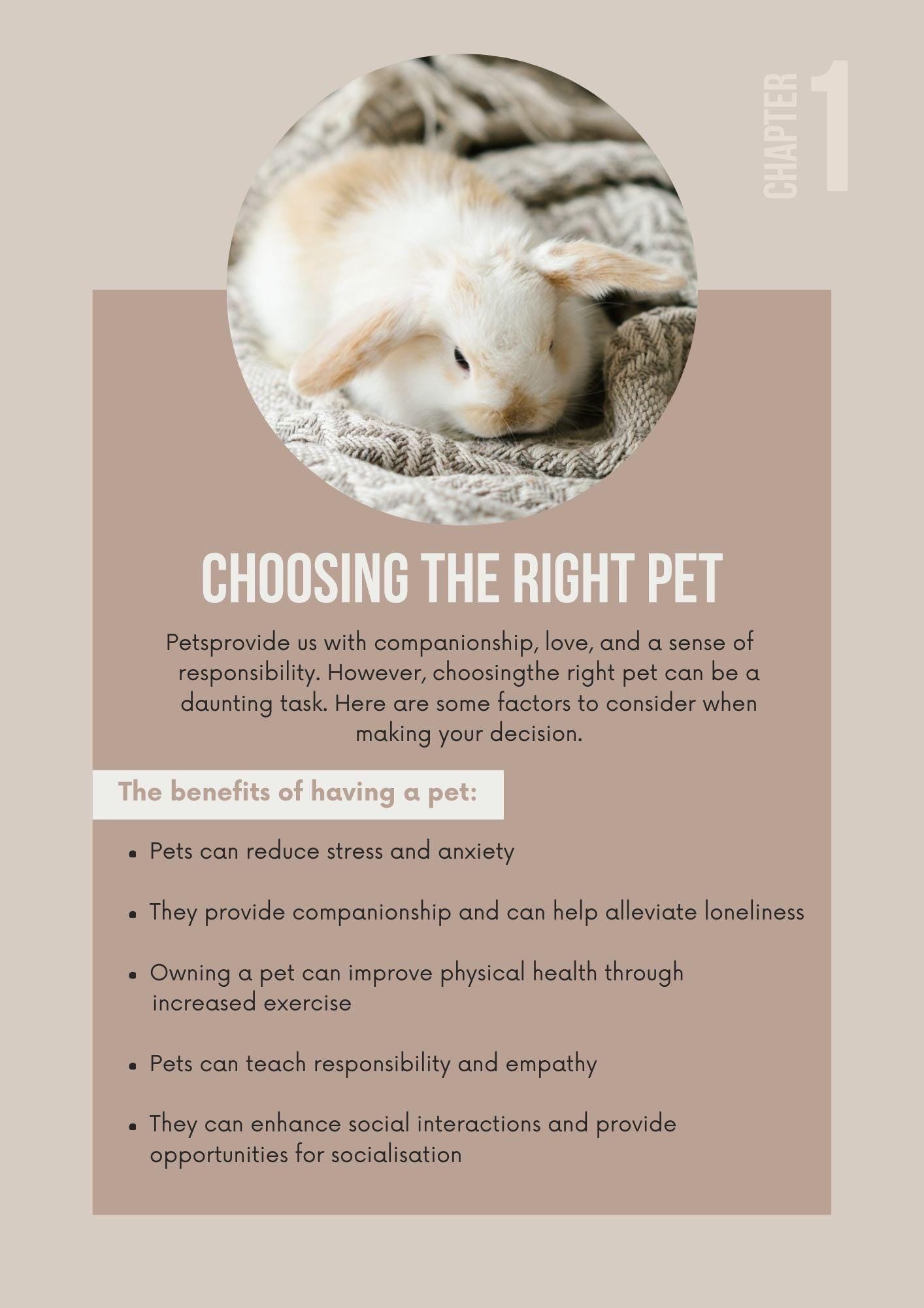 The Ultimate Guide to Pet Care | Comprehensive Handbook for Happy, Healthy Pets - Instant Download